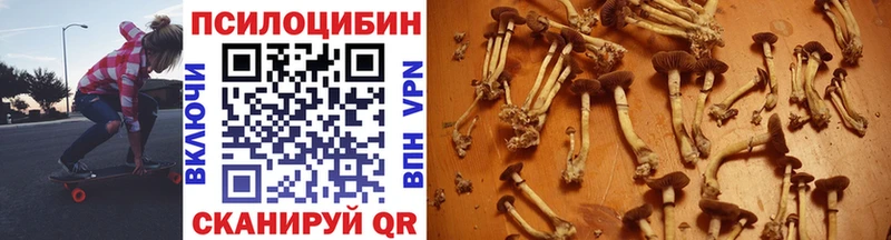 OMG вход  Северобайкальск  Псилоцибиновые грибы ЛСД  цены  